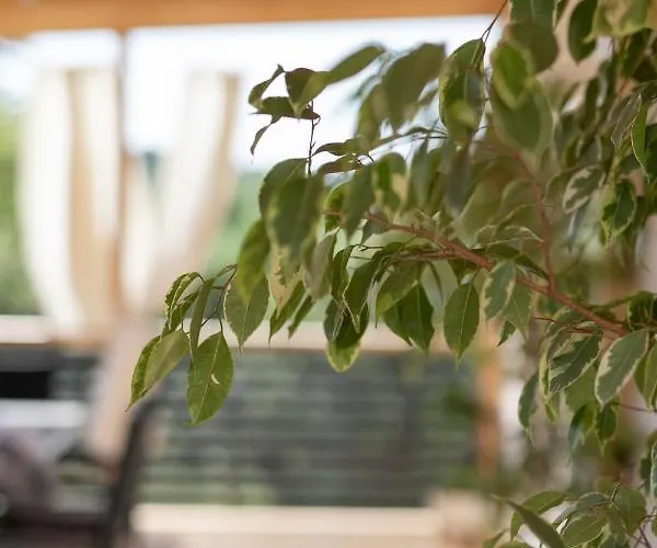 Mobile Lana Camping *