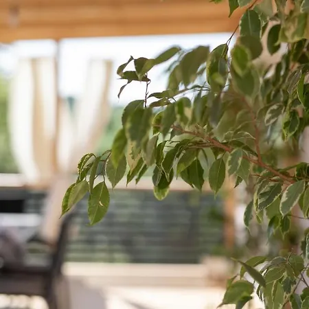 Mobile Lana אתר קמפינג *